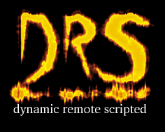 DRS Logo